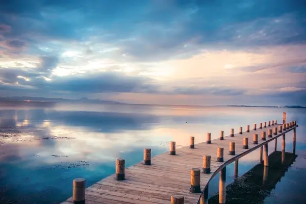 贵州大学刘敏老师简介