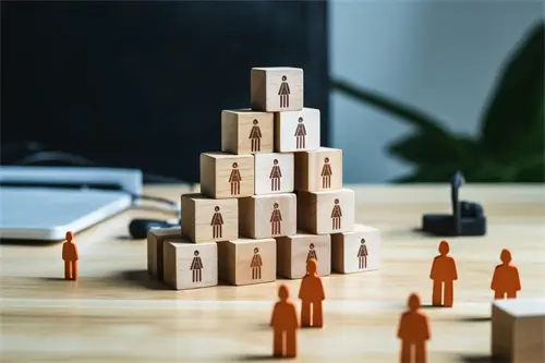 悉尼大学刘思雨简介