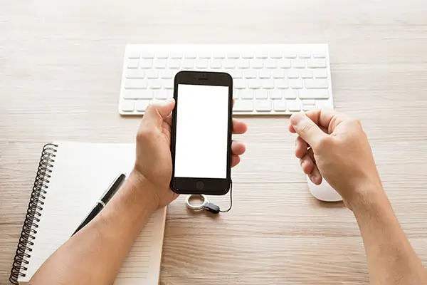 扬州大学朱娟简介资料